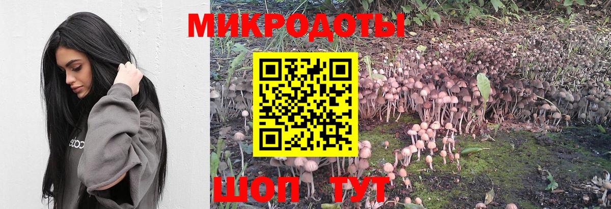 Галлюциногенные грибы Cubensis Благовещенск